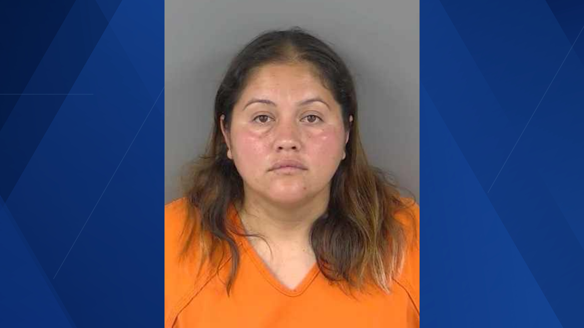 Woman allegedly left puppies in 40 degree hot truck for over an hour