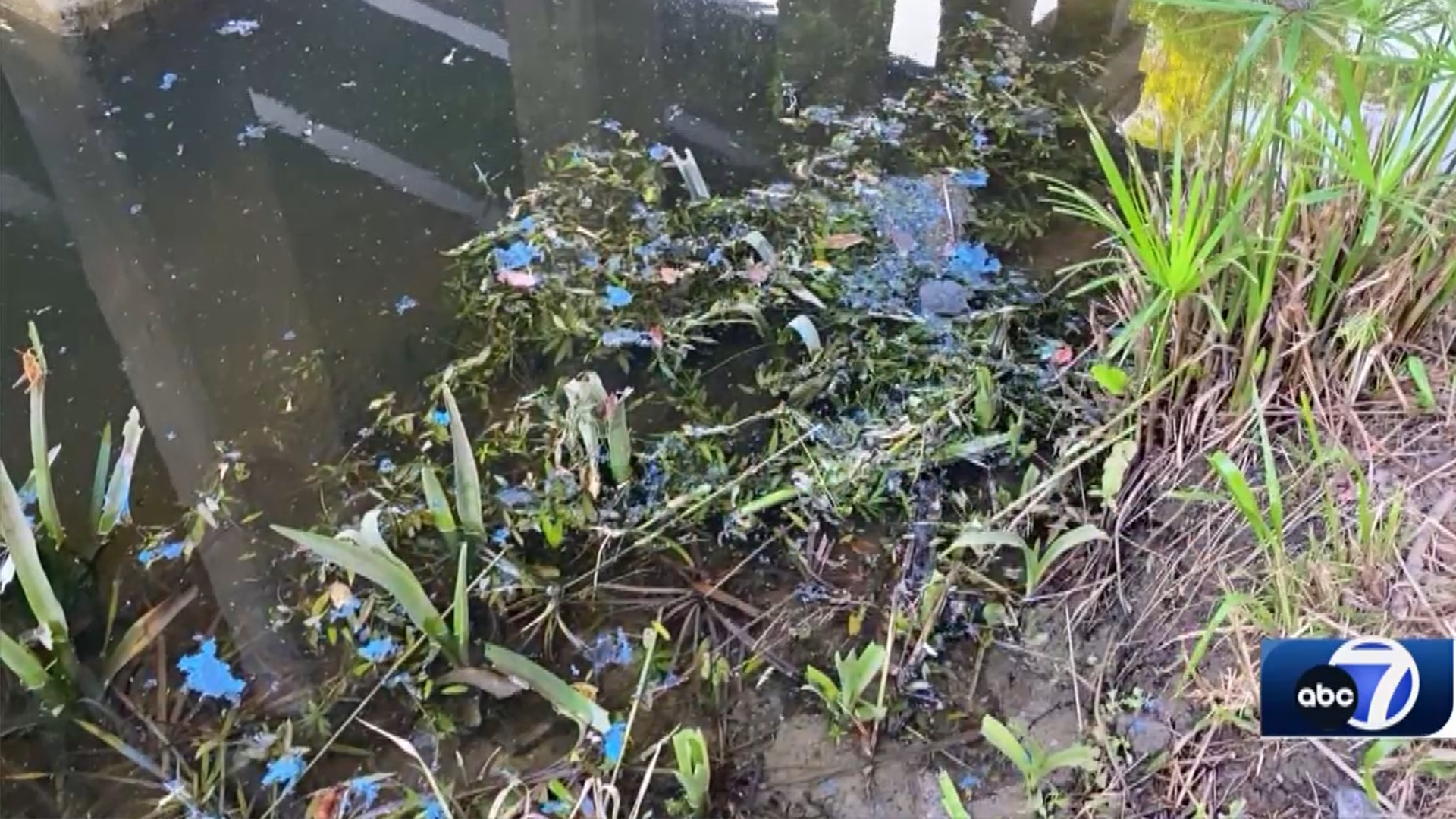 Wind blows paint from bridge into Orange River in Buckingham - Vimarsana News