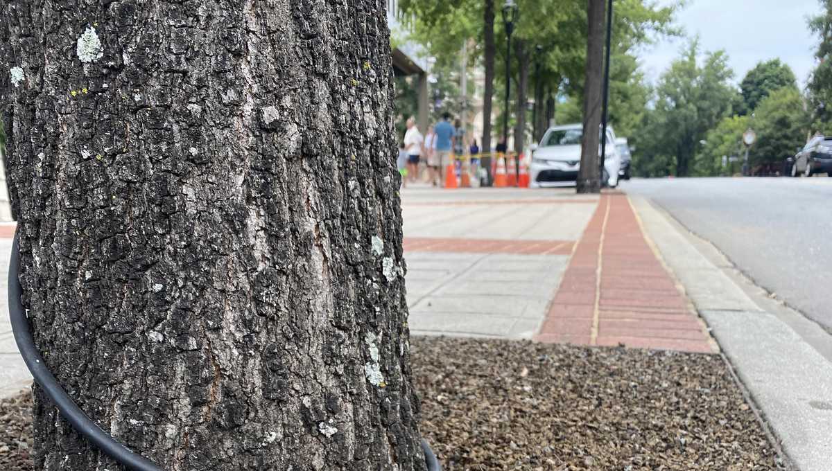 Greenville laying the groundwork for a new look downtown with