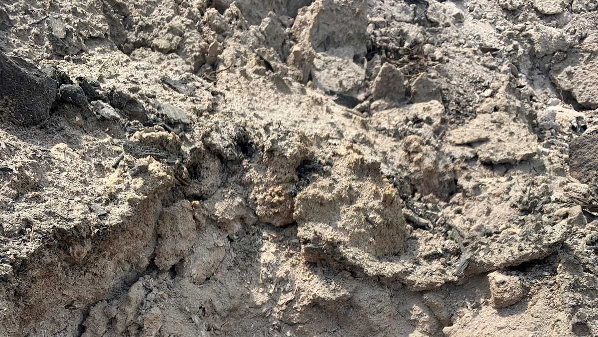 Florida mulch fire contained, but officials say smoke can last for weeks