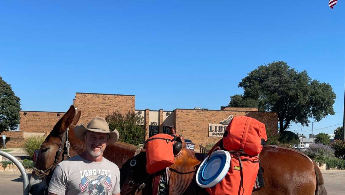A man and his mule: Texas man making trek to Kansas on muleback stops in Oklahoma