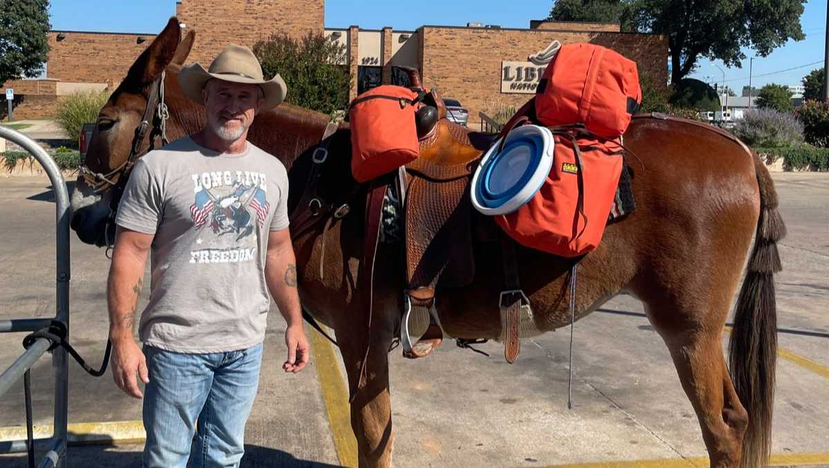 A man and his mule: Texas man making trek to Kansas on muleback stops in Oklahoma