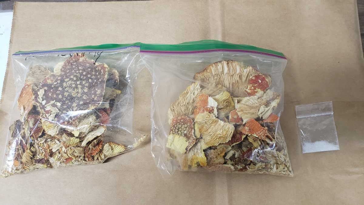 MUSHROOM BUST Racine County deputies find two bags in man's car