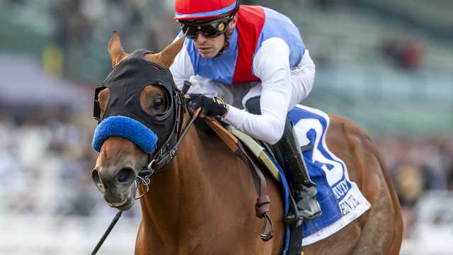 Why the Arkansas Derby winner isn't in this year's Kentucky Derby - Vimarsana News