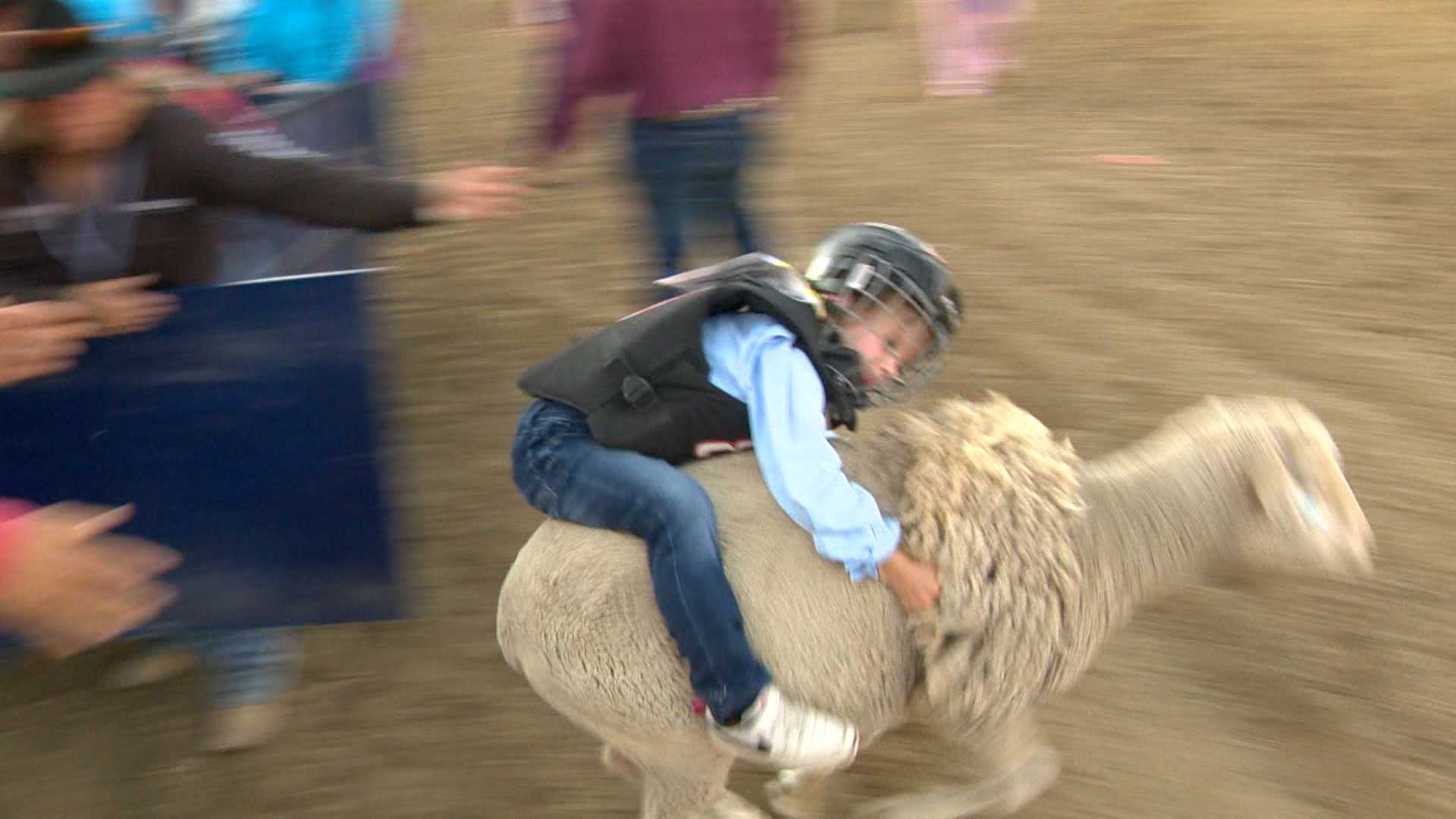 Folsom Pro Rodeo brings big crowds ahead of Fourth of July - Vimarsana News