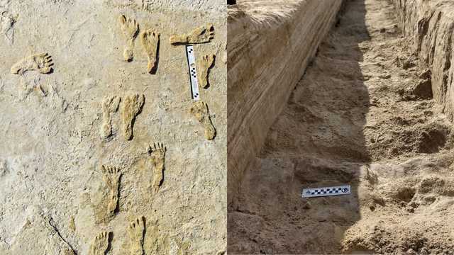 Fossilized Footprints - White Sands National Park (U.S. National