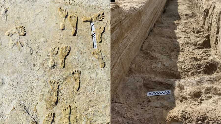 human fossilized footprints from the ice age at white sands national park