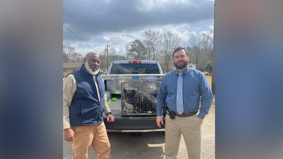 Tangipahoa Parish police locate stolen pig, reunite it with its owner