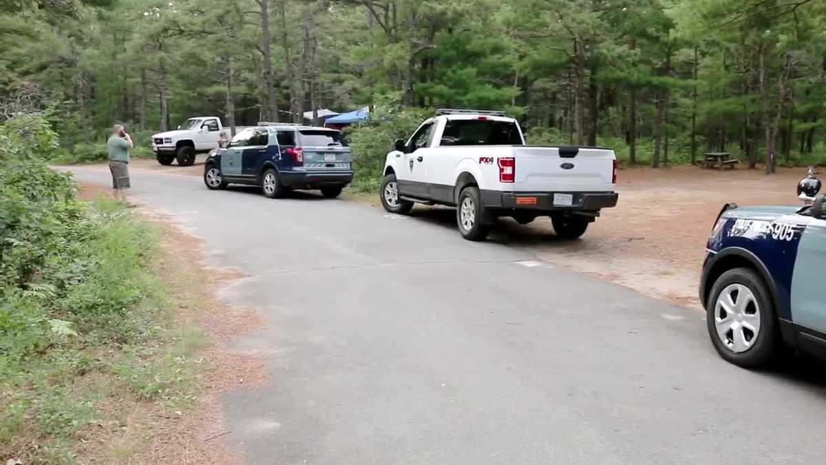 Police investigating reported assault at Myles Standish State Forest