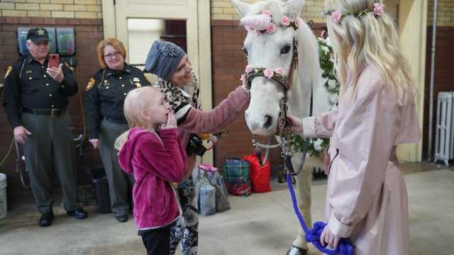 Hamilton girl battling stage 4 brain cancer surprised with 'real unicorn in real  life'
