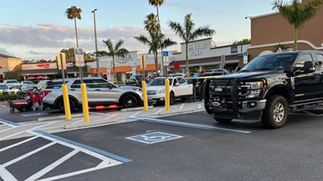 Wanted California man crashes into Collier deputy's patrol car - Vimarsana News