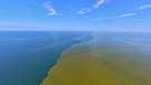 The red tide bloom, as photographed from the air in Naples about 25 miles off the coast.