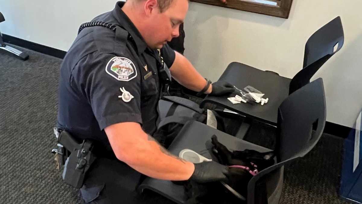 Yuba City dog revived with fentanyl overdose reversal drug