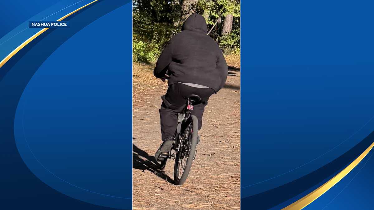 Man riding bike allegedly slapping women in NH park