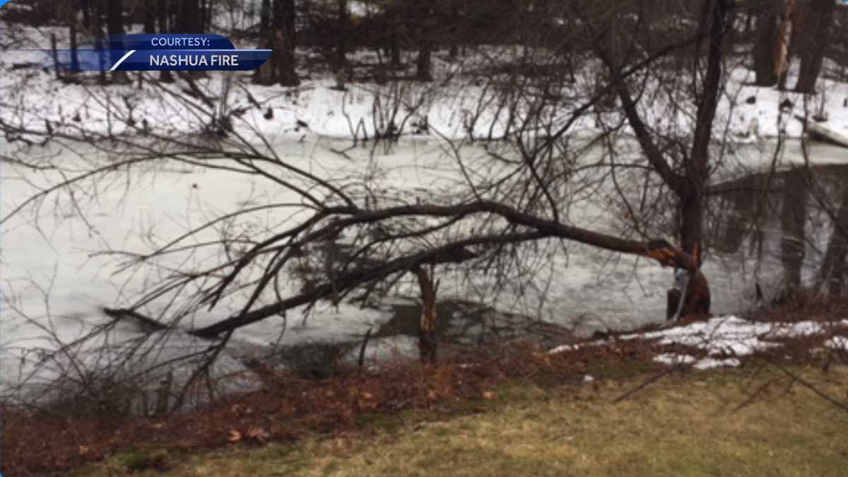 Two boys fall through thin ice on Nashua pond