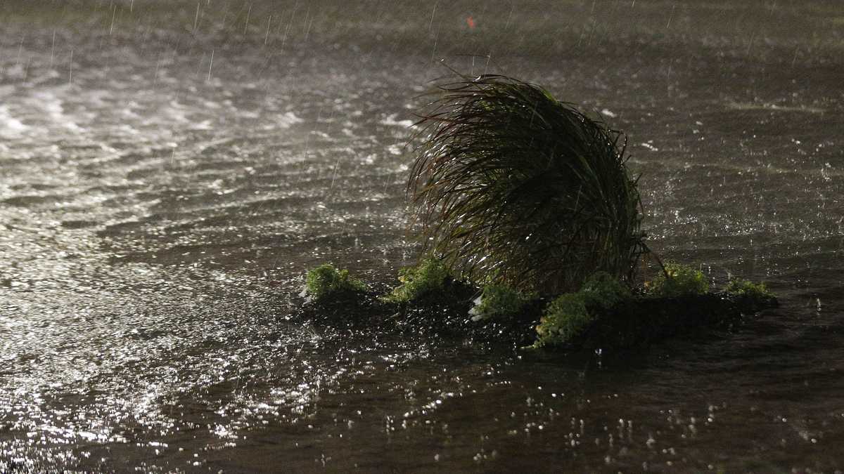 PHOTOS: Nate brings storm surge, winds, heavy rain to Gulf Coast