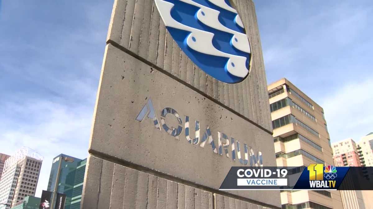 National Aquarium next to require proof of vaccination