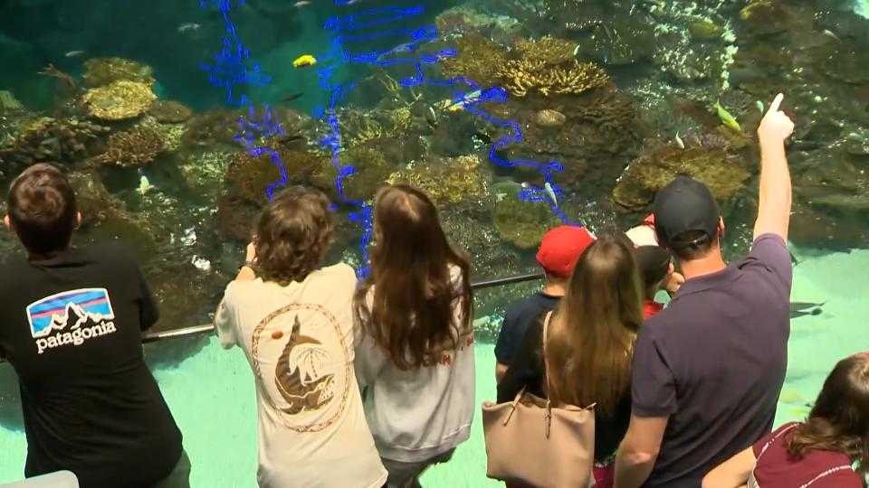 Downtown Discovery Days offers discounts to Baltimore attractions