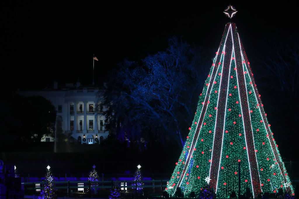 Passerby calls 911 on fake 'Christmas Vacation' Clark Griswold Christmas  display