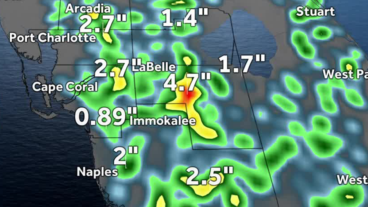 Muggy air and scattered storms for Sunday in Florida