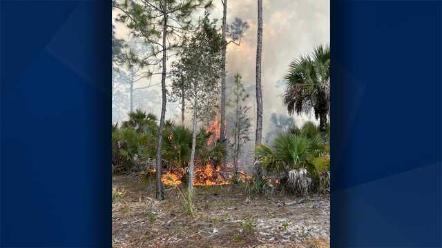 Smoke from wildfire south of Alligator Alley moving toward Lely - Vimarsana News