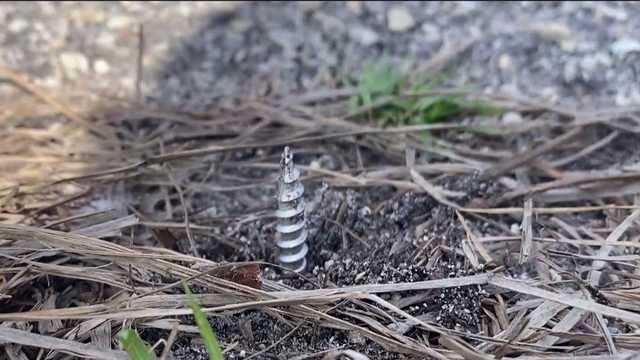 Nails and screws dumped along road in Golden Gate Estates - Vimarsana News
