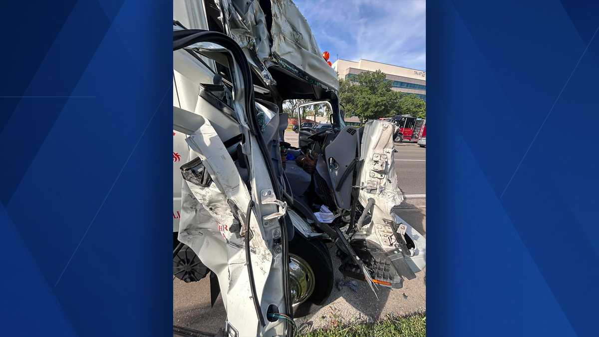 Child transported to hospital after school bus and landscape truck ...