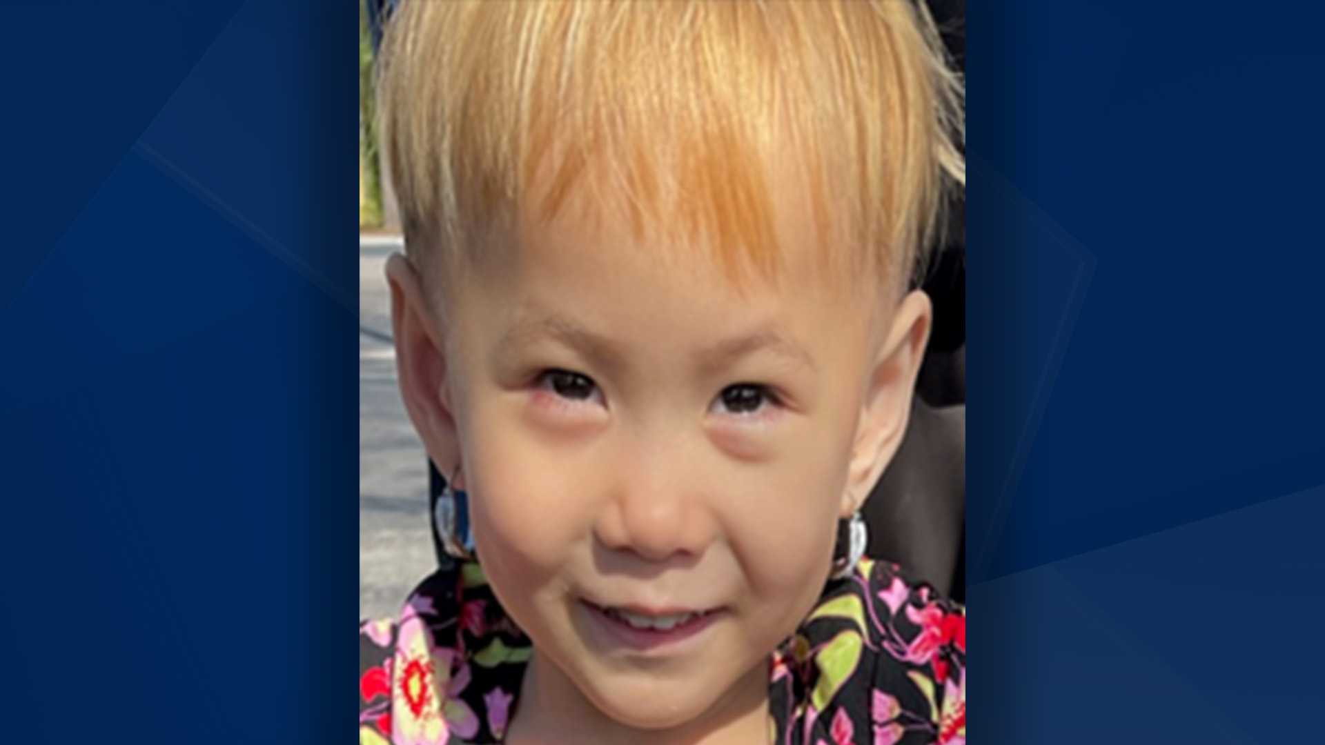 Investigators search for missing girl last seen near McGregor Boulevard in Fort Myers - Vimarsana News