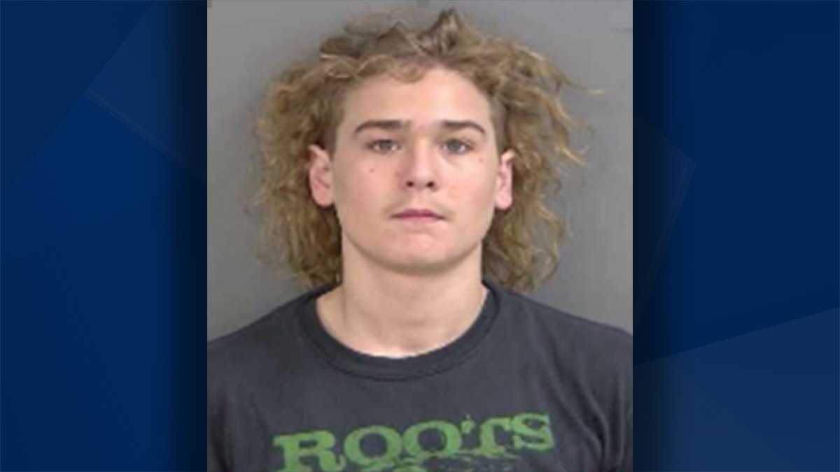 14yearold arrested for carrying concealed firearm at Coastland Center