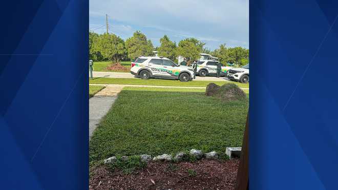 Charlotte County deputies investigate car burglaries