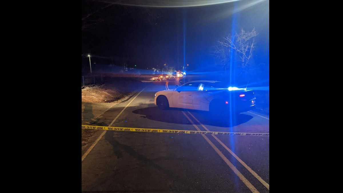 New information released about fatal pedestrian hitandrun in North