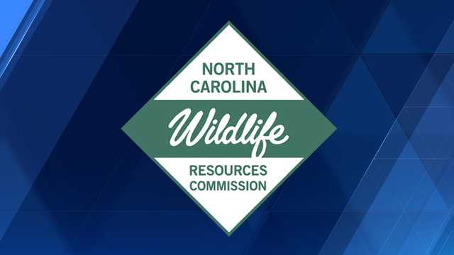 North Carolina: Wildlife Resource Commission seeking the public's help for saving the turtles - Vimarsana News