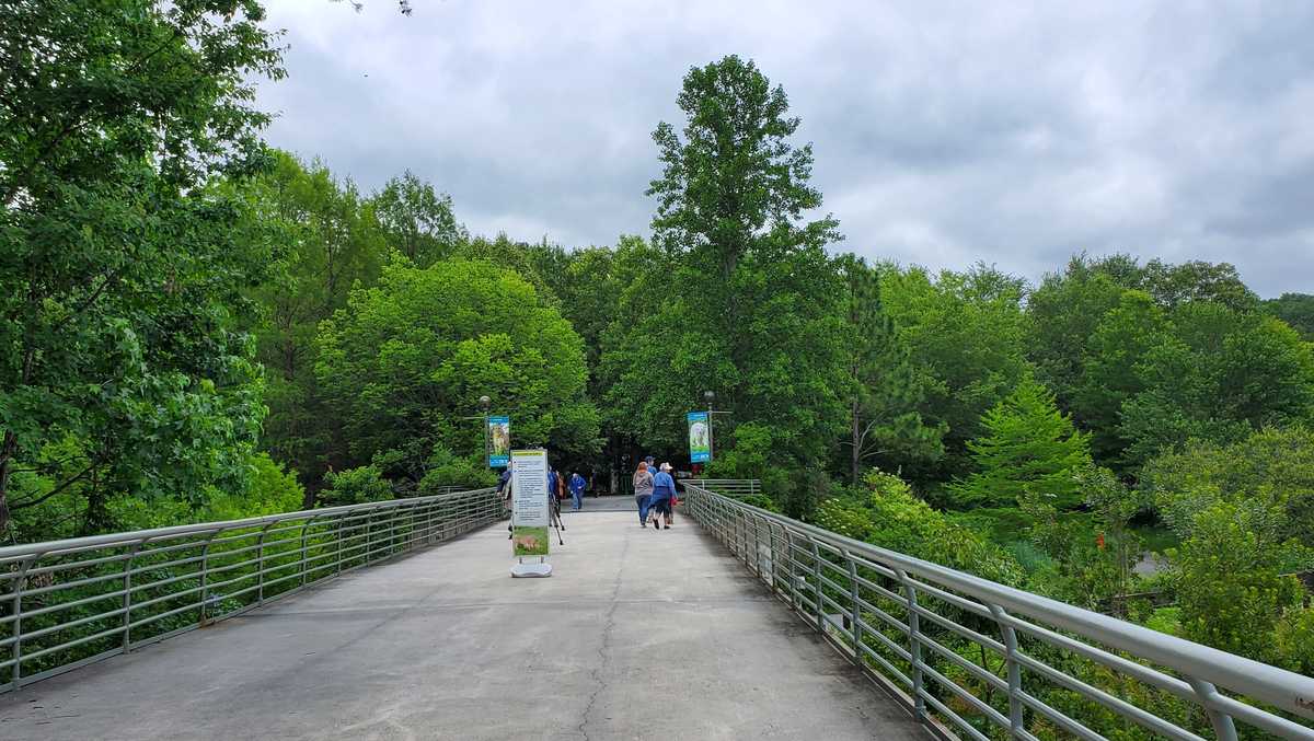 NC Zoo opens back up with big changes for visitors