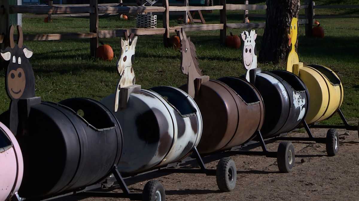 Fall Fun at Nelson Produce Farm in Valley