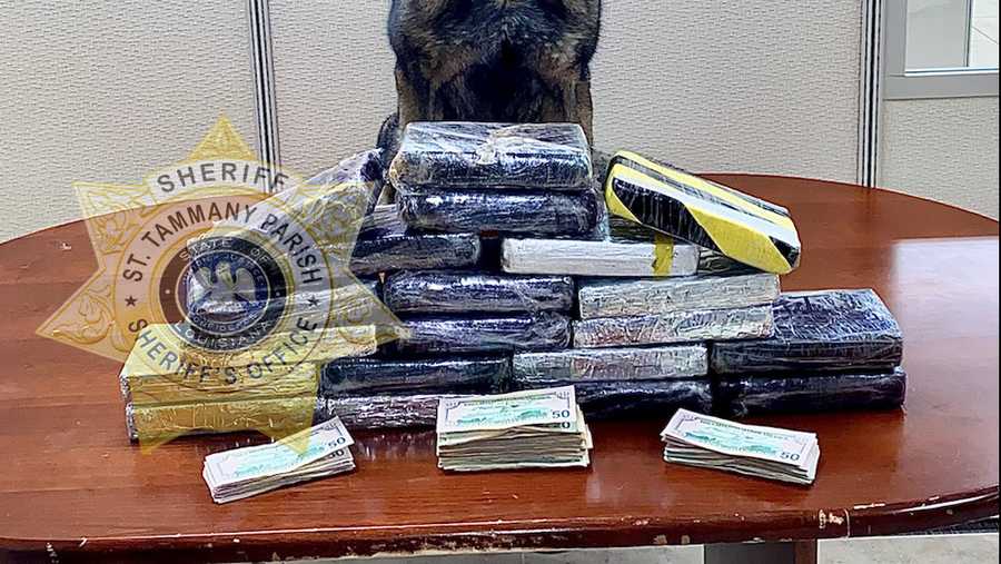 K9 finds 50 pounds of cocaine during traffic stop