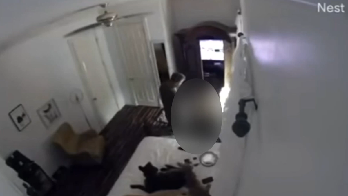 Teen installs cameras in home to prove parental abuse