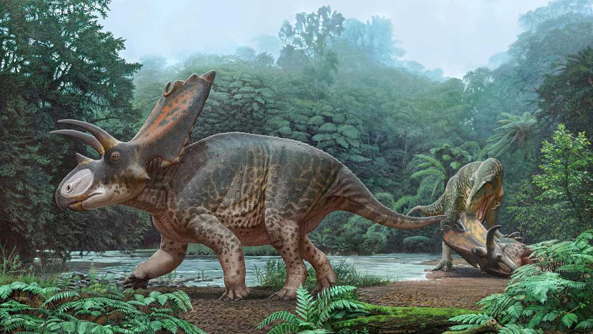 New species of dinosaur discovered in northwest New Mexico