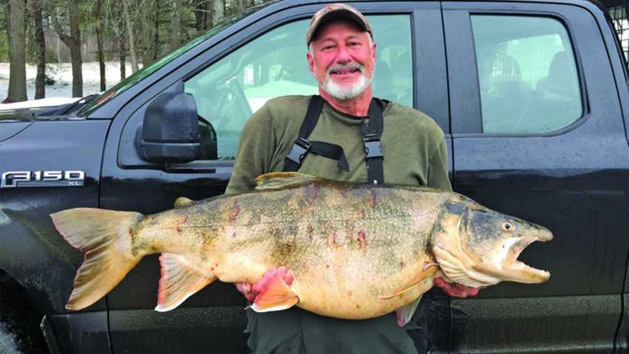 Ice fisherman sets New England record with 37-pound trout in NH