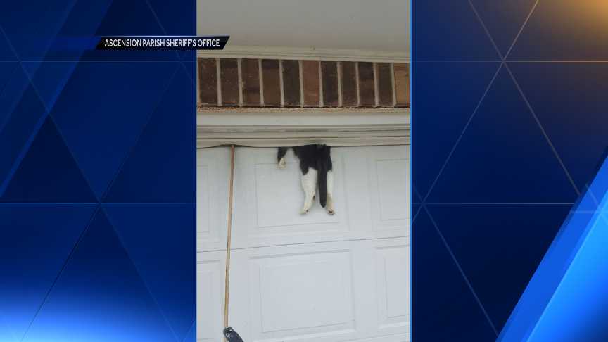 Louisiana Sheriff S Deputy Rescues Cat Stuck Between Garage Door