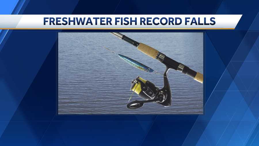 North Carolina's decades-old freshwater fish record has fallen.