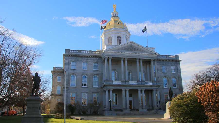 NH primary voters to pick candidates for general election races