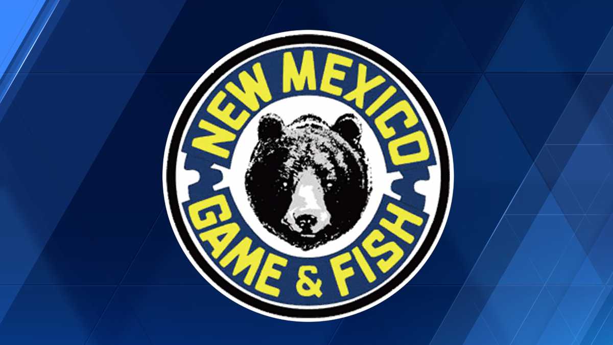 State launches food drive for wildfire victims