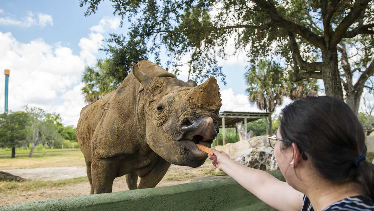 AllNew Animal Encounters at Busch Gardens Tampa Bay