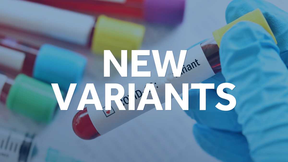 Doctor discusses recent COVID-19 variants, breakthrough infections