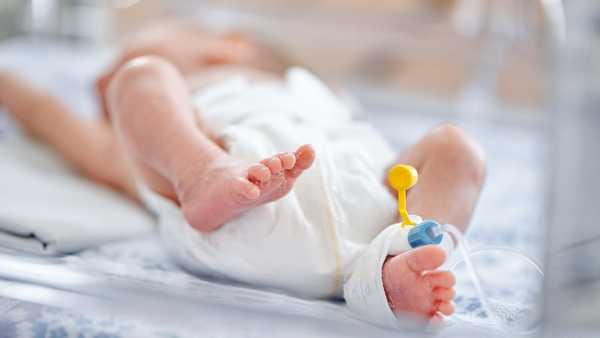 Infant