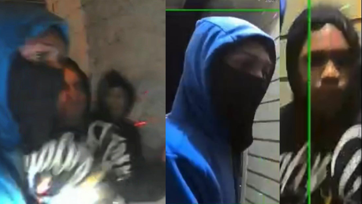 Newcastle police search for suspects after home invasion attempt