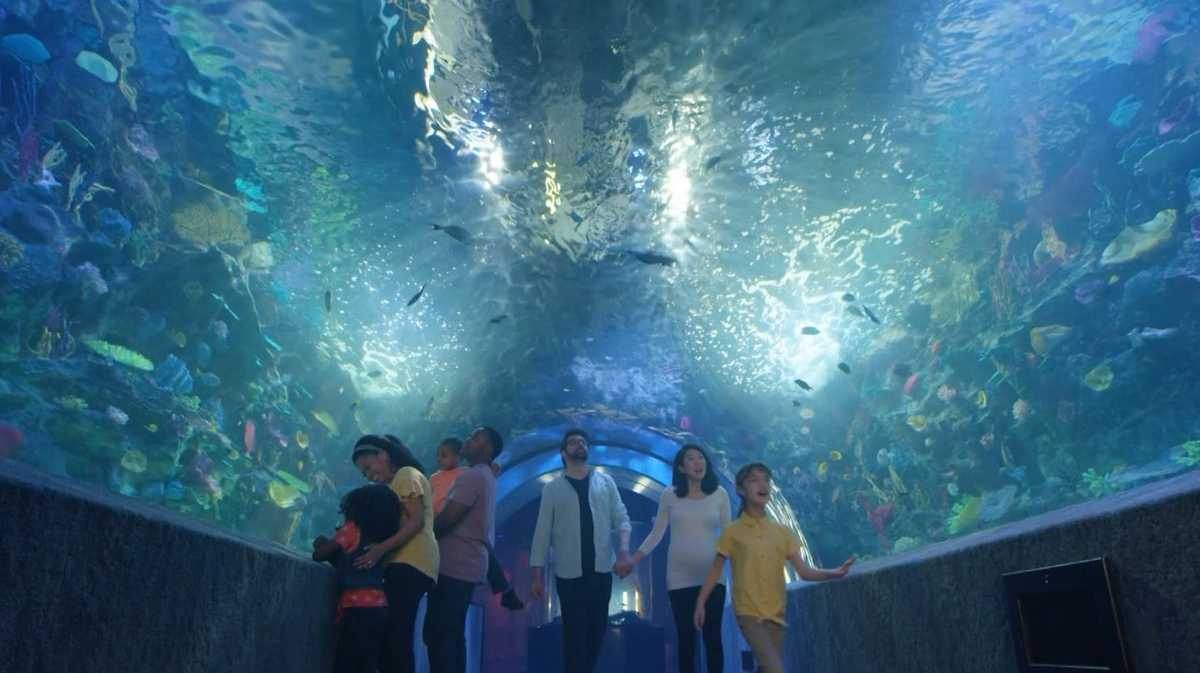 Newport Aquarium hosting underwater scavenger hunt