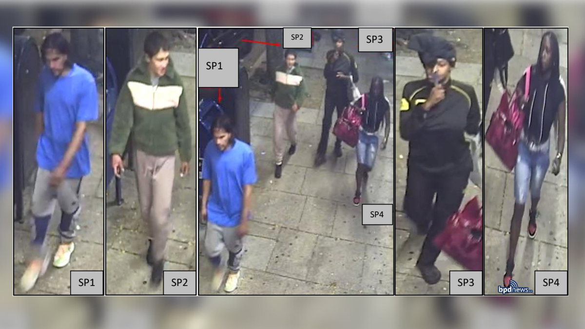 Suspects sought in stabbing of woman in Boston