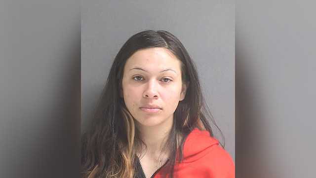 Mother arrested after 3-year-old drowns in Ormond Beach pond - Vimarsana News