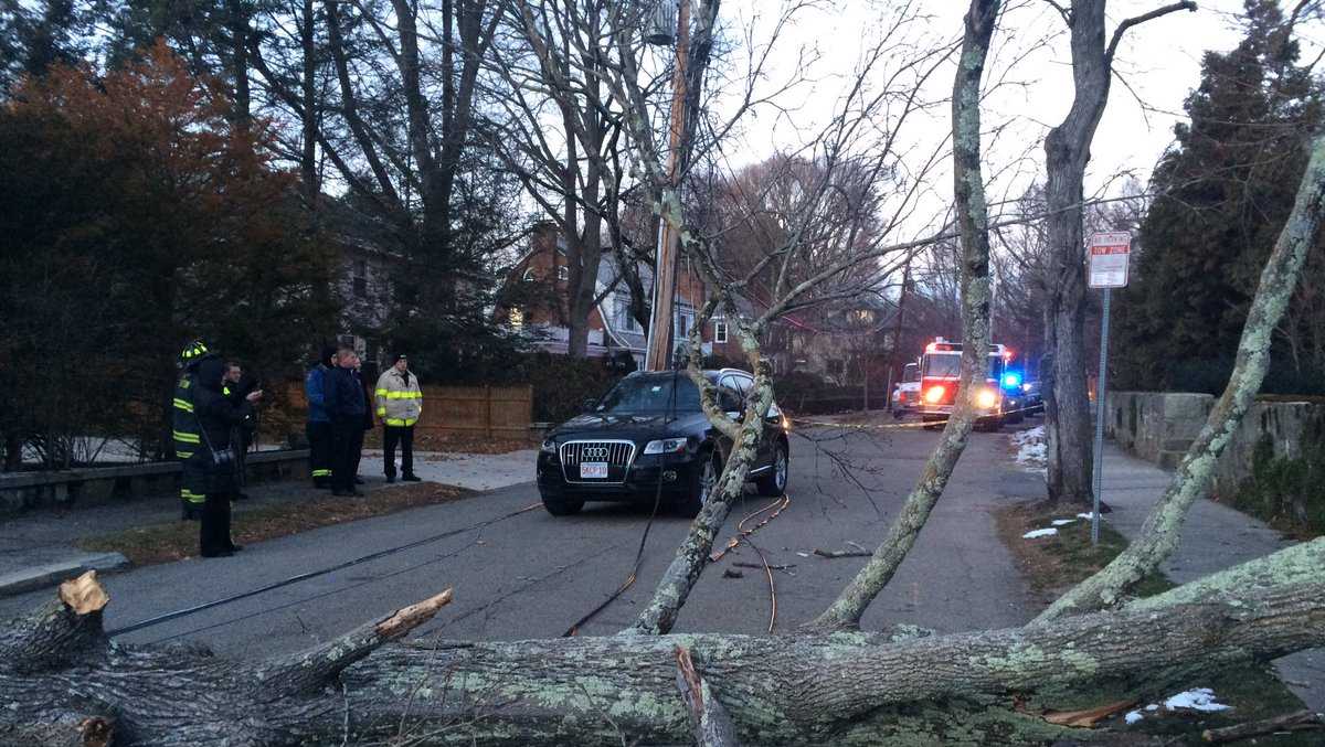 Women trapped in car after strong winds bring down trees, power lines